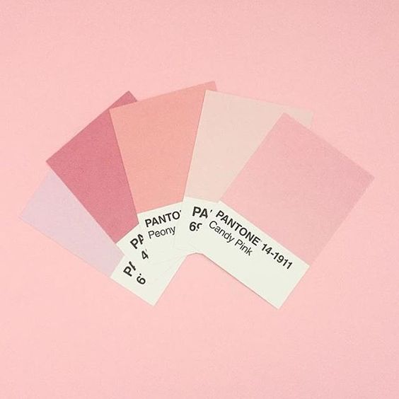 Pantone rose